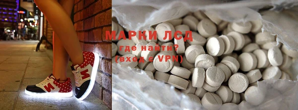 индика Володарск