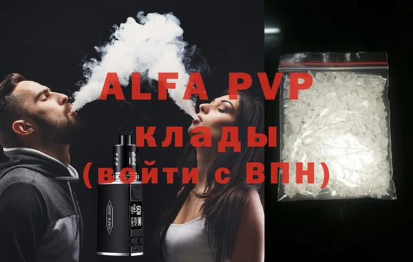 индика Володарск