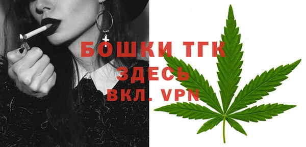 индика Володарск