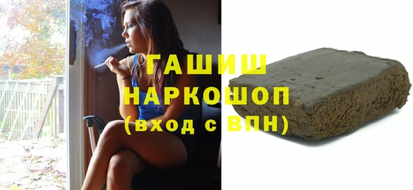 индика Володарск