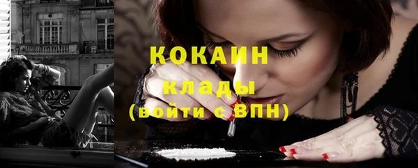 индика Володарск