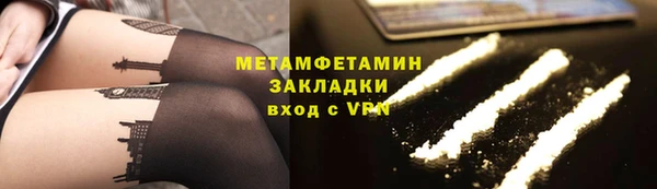 индика Володарск