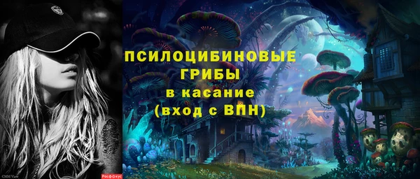 индика Володарск