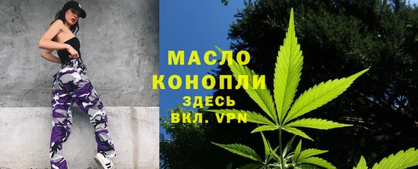 индика Володарск