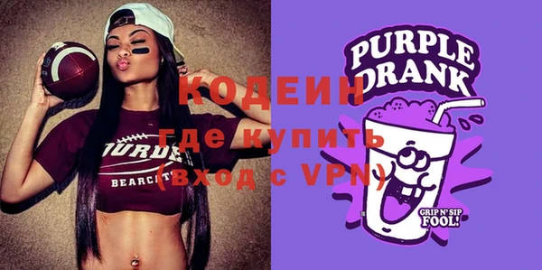 индика Володарск