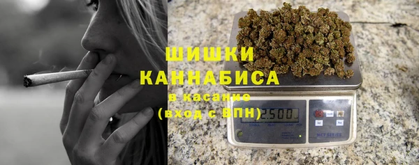 индика Володарск