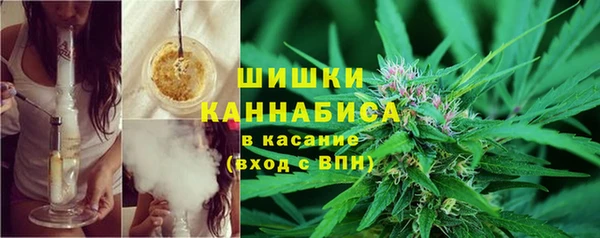 индика Володарск
