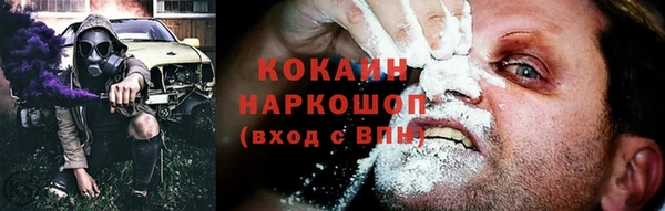 индика Володарск