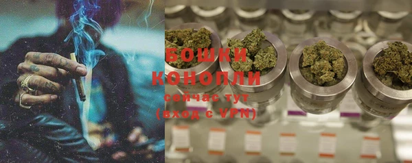 индика Володарск