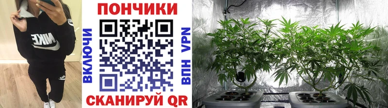 Канабис LSD WEED  где продают наркотики  Дубовка 